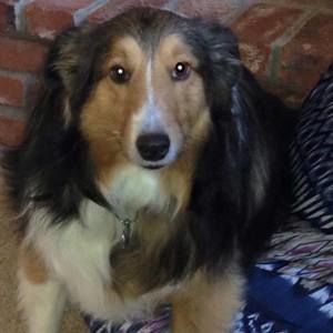 Meet your Posher, Beth